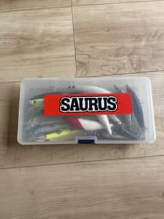 SAURUS ザウルス シーバスルアーセット ケース付き - メルカリ