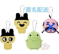 m16220362898_1.jpg?1728254433