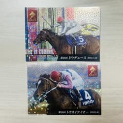 JRA 中山競馬場 有馬記念 ドウデュース トウカイテイオー ステッカー 2