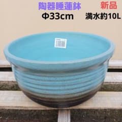 新品 33cm 陶器 睡蓮鉢 メダカ鉢 難有 ラリマーブルー スカイブルーSWC