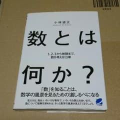 数とは何か？ 1,2,3から無限まで、数を考える13章  小林道正のサムネイル
