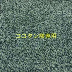 専用ページのサムネイル