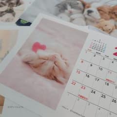 かわいい子犬&子猫の卓上カレンダー2026 いぬ ねこのサムネイル