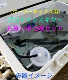 ヤエン、ノマセにお得なプロテインスキマー×2基セット（商品説明必読!）のサムネイル