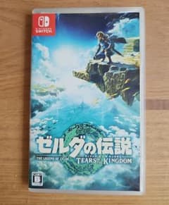 젤다의 전설 티어즈 오브 더 킹덤 Switch