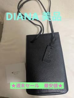 週末セールのバッグ　おすすめのサムネイル