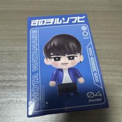 【Snow Man Dome Tour 2025-2026 ON】すのチルソフビのサムネイル