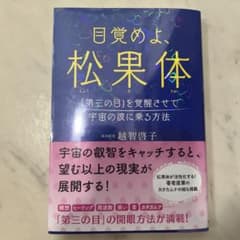目覚めよ、松果体 越智啓子のサムネイル