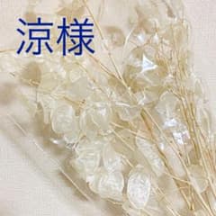 ドライフラワー  ルナリア　※専用出品　1束のサムネイル