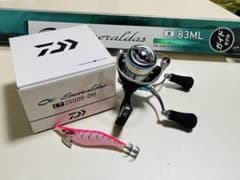 エメラルダス X 83MLショアエギング& LT2500S-DHリール セット エメラルダス X 83MLショアエギング& LT2500S-DHリール セット - メルカリ