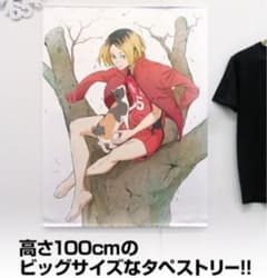 孤爪研磨　ハイキュー　タペストリーのサムネイル
