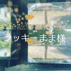 ラッキーまま様専用☆のサムネイル
