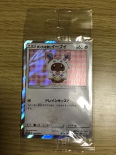 ポンチョを着たイーブイ ニンフィア 未開封のサムネイル