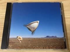 The Cranberries No Need to Argueのサムネイル