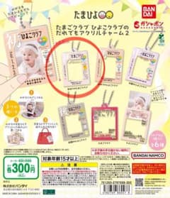 たまひよ たまごクラブ ひよこクラブのだれでもアクリルチャーム2のサムネイル