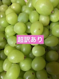 島根県産シャインマスカット超訳あり（12）のサムネイル