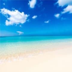 ほのぼの様 専用♡のサムネイル