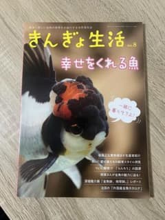 きんぎょ生活 no.8 幸せをくれる魚のサムネイル