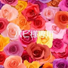 パピ様専用   ビーズ細工③パーツセット⭐️のサムネイル