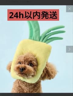最安値‼️3coinsスリーコインズ ペット パイン パイナップル 顔ハメ 新品のサムネイル