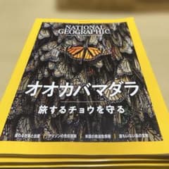 ナショナルジオグラフィック日本版 2024年 12冊セットのサムネイル