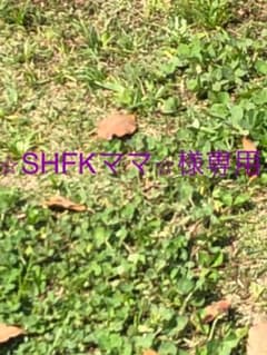アムウェイ  エサンテオイルセット　⭐︎SHFKママ⭐︎様専用のサムネイル