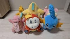 ポケモン ホゲータ/ミズゴロウ/ヤドン/カイリュー/ジラーチ等　ぬいぐるみのサムネイル