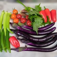 ①本日収穫　野菜セット　詰め合わせのサムネイル