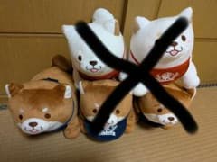 忠犬もちしば　GBうごぐるみ　　ぬいぐるみ　おかか　1個