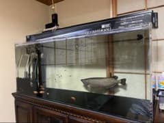 アクリル水槽 1200×500×500 上部濾過・交換ポンプ・蓋2枚！！ - メルカリ