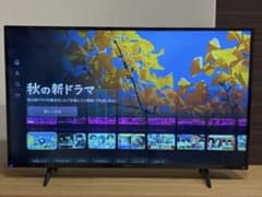 画面エラーあり】FUNAI 43V型 液晶テレビ FL-43UF360 本体 - メルカリ