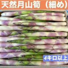 ❤️毎年大人気❣️ 天然 月山筍 4キロ以上 細め 根曲がり竹 姫竹 山菜