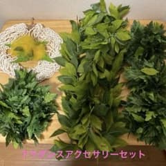 【美品】舞台で数回使用、フラダンスアクセサリーセット用のサムネイル