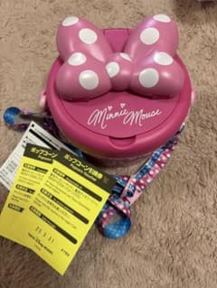 パルパルーザ ミニーのファンダーランド ポップコーンバケット 引換券