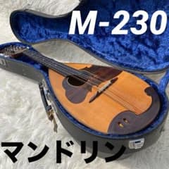 美品 鈴木バイオリン マンドリン M-230 ハードケース付 美品 鈴木バイオリン マンドリン M-230 ハードケース付 - メルカリ