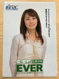 安いクリアファイル 矢田亜希子の通販商品を比較 | ショッピング情報の 