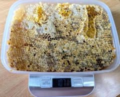 ニホンミツバチの巣蜜　（採りたて！）のサムネイル