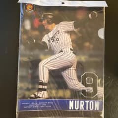 マートン　阪神タイガース　クリアファイルのサムネイル