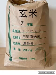 《玄米》 農家直送米　20kg 令和7年　鳥取県産 コシヒカリ《玄米》のサムネイル