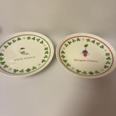 ピクミンお皿2枚即購入OK - メルカリ