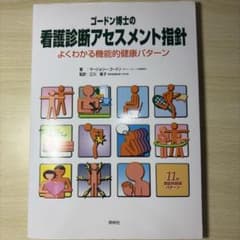 ゴードン博士の看護診断アセスメント指針 : よくわかる機能的健康パターン : …のサムネイル