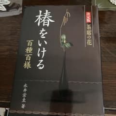 椿をいける : 百種百様 : 茶席の花 : 決定版のサムネイル