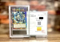 ARS10 青眼の白龍 ブルーアイズホワイトドラゴン 浮世絵 NYC-JP001