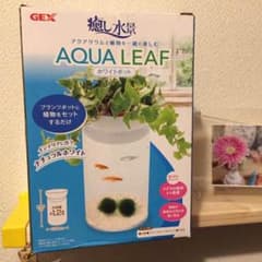 GEX アクアリーフ 水槽 送料込み！！のサムネイル