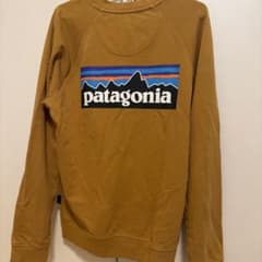 PatagoniaロンTのサムネイル