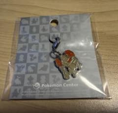 即購入可】ポケモン ずかん メタルチャーム 伝説のポケモン レジロック