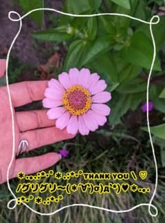 HMアクセサリー★Thank you♪スターニンジャ様専用のサムネイル