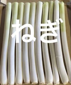 ねぎのサムネイル