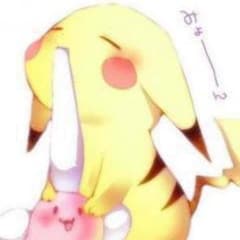 goto様専用。のサムネイル