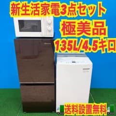 205 冷蔵庫 洗濯機 電子レンジ 極美品 一人暮らし 小型 関東圏 最新セット 205 冷蔵庫 洗濯機 電子レンジ 極美品 一人暮らし 小型 関東圏 最新